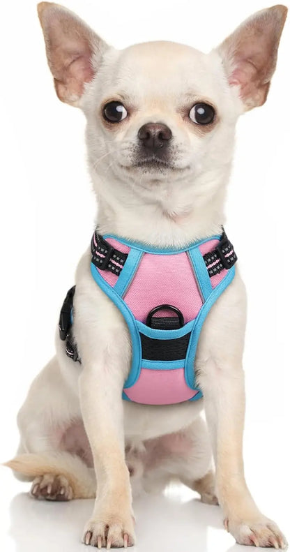Rabbitgoo Dog Harness No Pull with 2 Leash Clips GLOBEGOU CO.,LTD