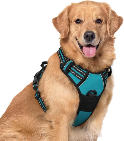 Rabbitgoo Dog Harness No Pull with 2 Leash Clips GLOBEGOU CO.,LTD