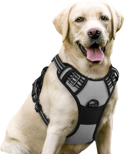 Rabbitgoo Dog Harness No Pull with 2 Leash Clips GLOBEGOU CO.,LTD