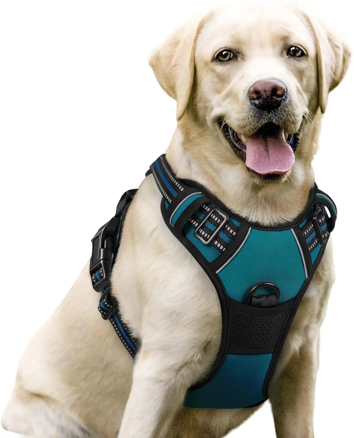 Rabbitgoo Dog Harness No Pull with 2 Leash Clips GLOBEGOU CO.,LTD