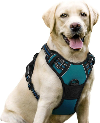 Rabbitgoo Dog Harness No Pull with 2 Leash Clips GLOBEGOU CO.,LTD