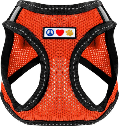 Pawtitas Dog Harness Made with Breathable Air Mesh | Pawtitas