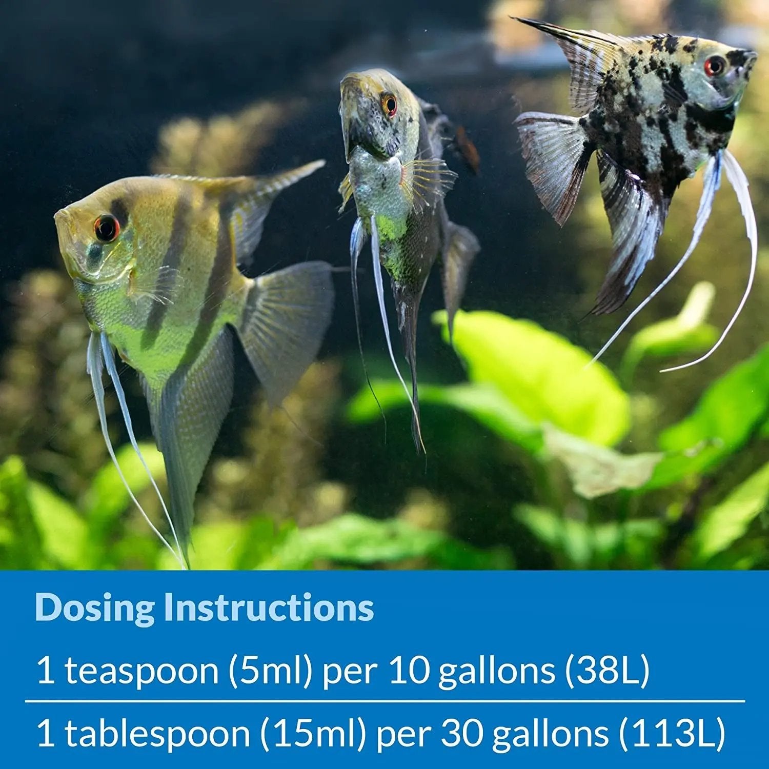 Mars Fishcare API Stress Zyme Aquarium Cleaning Solution 16 Oz Bottle Keeps Tank Crystal Clear and Fish Healthy - Animals & Pet Supplies > Pet Supplies > Fish & Aquatic Supplies > Aquarium Water Treatments > Water Conditioners