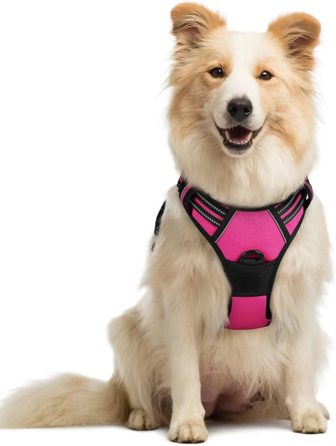 Rabbitgoo Dog Harness No Pull with 2 Leash Clips GLOBEGOU CO.,LTD