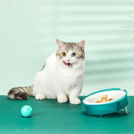Eco-friendly cat and dog food bowl set with replaceable paper bowls and 15-degree tilt design