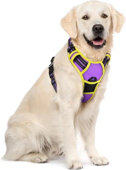 Rabbitgoo Dog Harness No Pull with 2 Leash Clips GLOBEGOU CO.,LTD