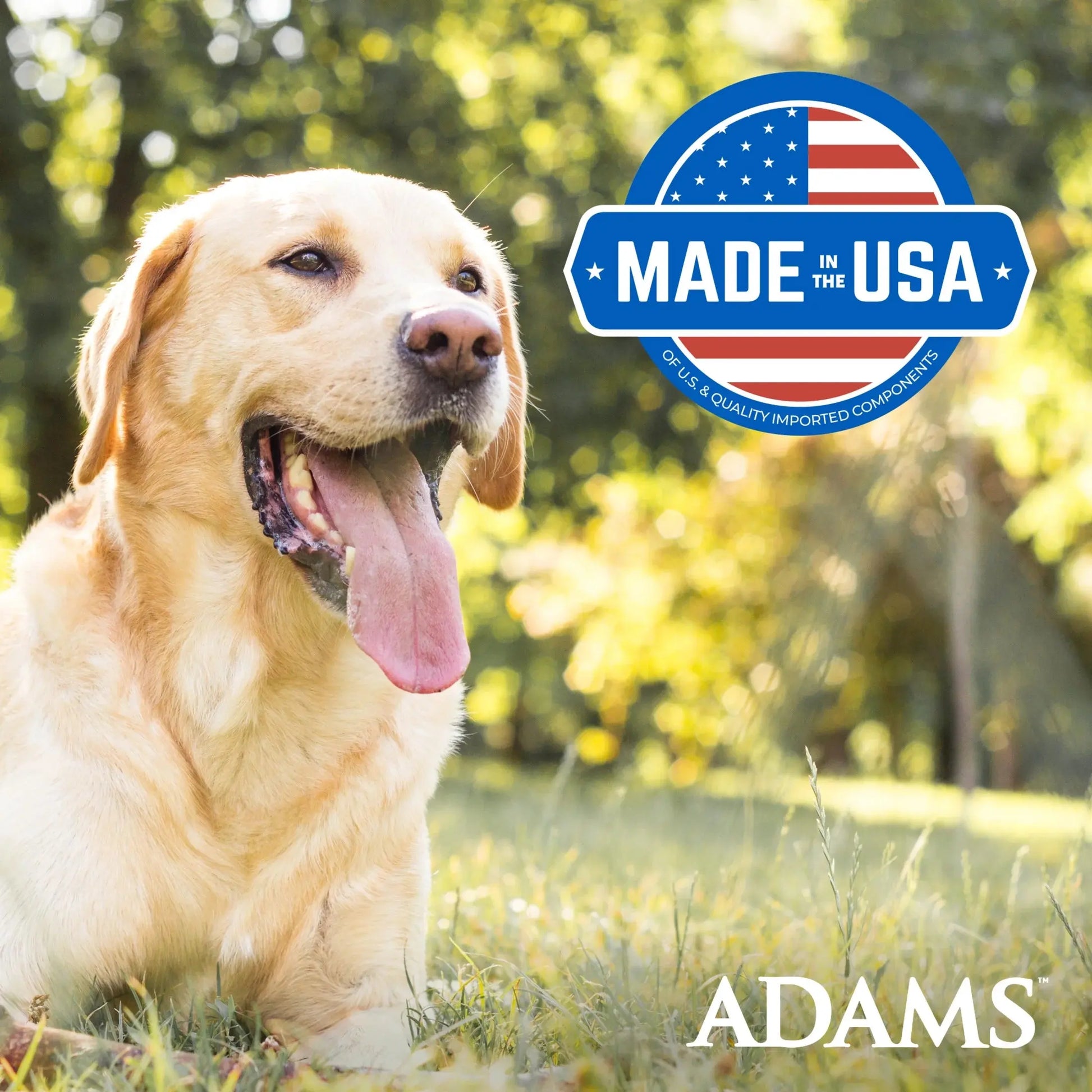 Adams Plus Flea & Tick Indoor Fogger - 3 Ounce Pack for Comprehensive Pest Control Adama