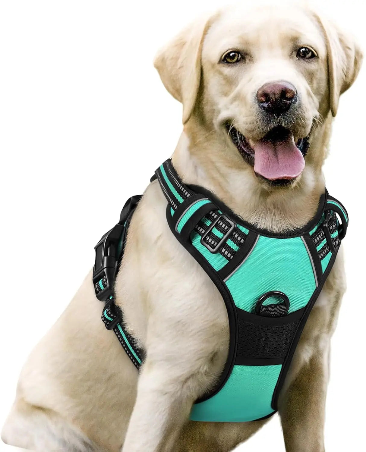 Rabbitgoo Dog Harness No Pull with 2 Leash Clips GLOBEGOU CO.,LTD