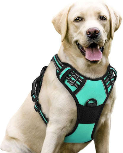 Rabbitgoo Dog Harness No Pull with 2 Leash Clips GLOBEGOU CO.,LTD