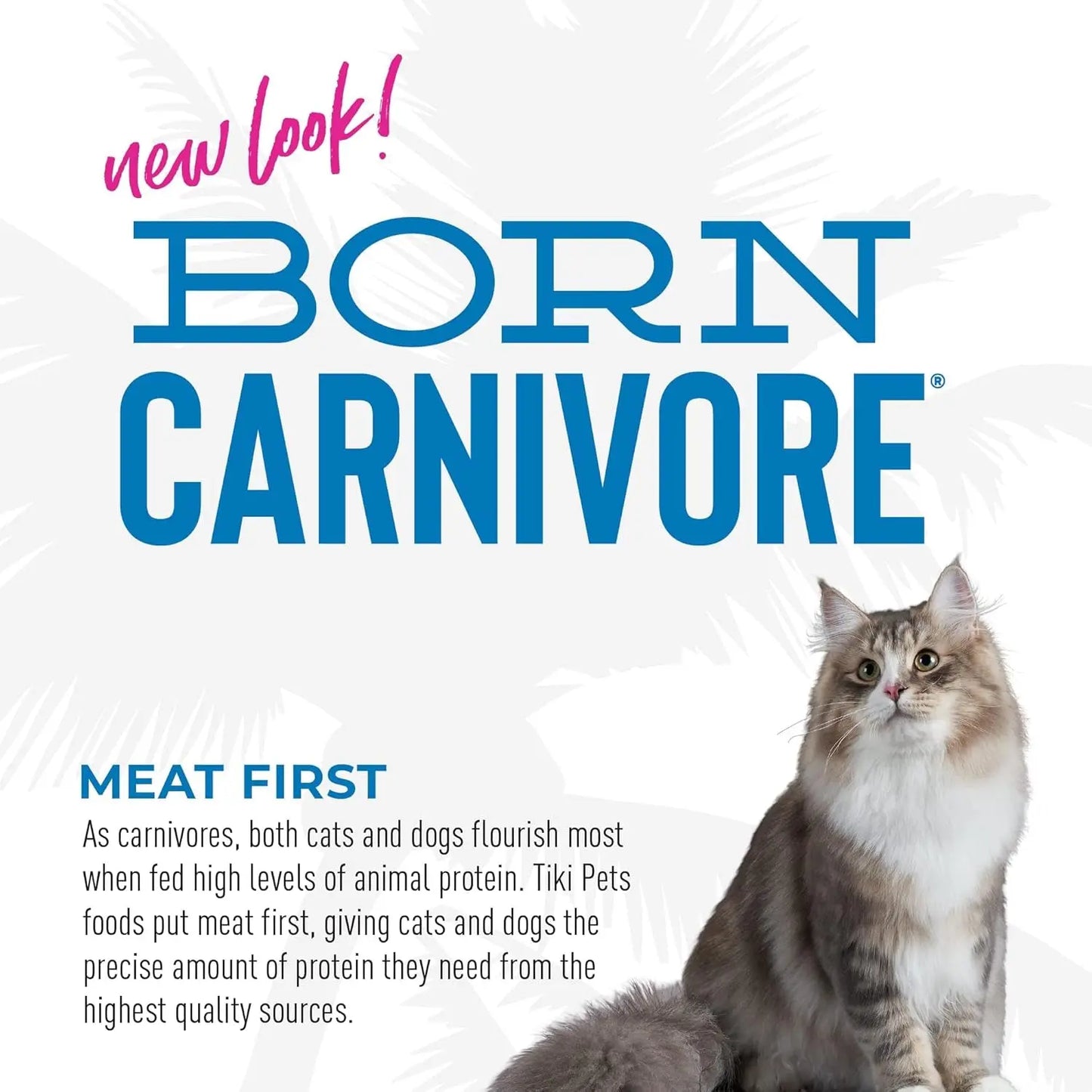 Tiki Cat Born Carnivore High Protein Dry Cat Food, Herring & Salmon Meal, 11.1 Lbs. Bag Excel Pets