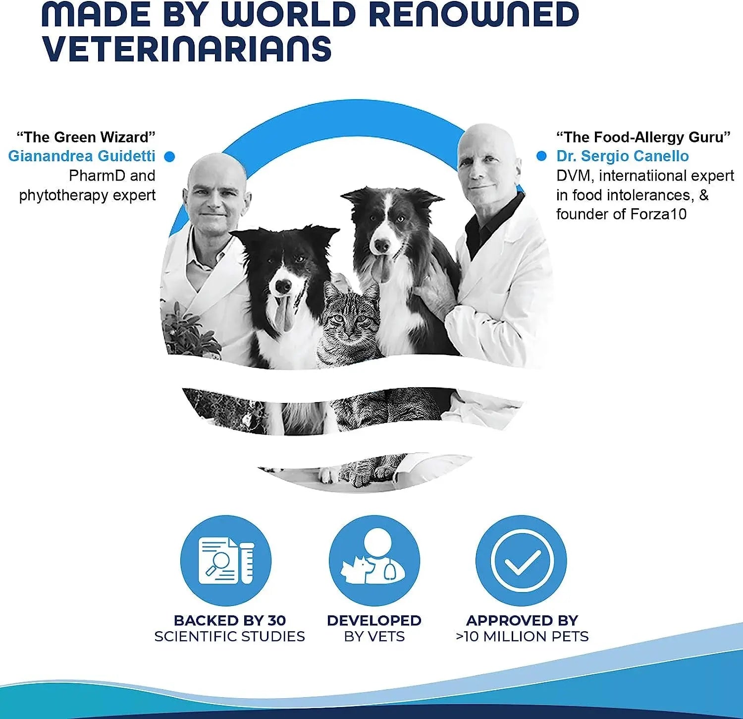Forza10 Legend Sensitive Skin Dog Food, Grain Free Dry Dog Food for Sensitive Skin with Curative Herbs, Wild Caught Anchovy Flavor Allergy Dog Food, for Adult Dogs, Pack of 1 (5 Pounds) Forza10