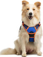 GLOBEGOU CO.,LTD Rabbitgoo Large Dog Harness No Pull Adjustable Soft Padded Vest Reflective Oxford Material Red Plaid Dual Leash Clips - Animals & Pet Supplies > Pet Supplies > Pet Collars & Harnesses Dog