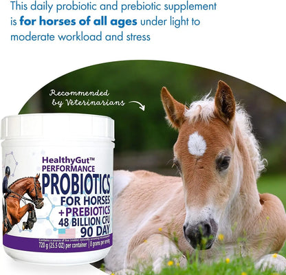 Equa Holistics LLC. Healthygut Probiotics For Horses Performance Formula Digestive Health Support 90 Day Supply - Sporting Goods > Outdoor Recreation > Equestrian > Horse Care > Horse Vitamins & Supplements Equine