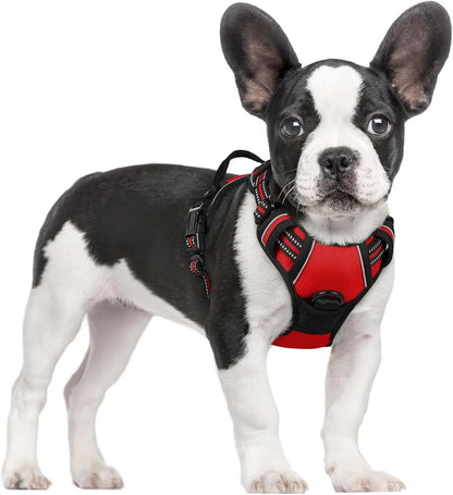 Rabbitgoo Dog Harness No Pull with 2 Leash Clips GLOBEGOU CO.,LTD