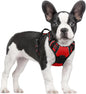 GLOBEGOU CO.,LTD Rabbitgoo Large Dog Harness No Pull Adjustable Soft Padded Vest Reflective Oxford Material Red Plaid Dual Leash Clips - Animals & Pet Supplies > Pet Supplies > Pet Collars & Harnesses Dog
