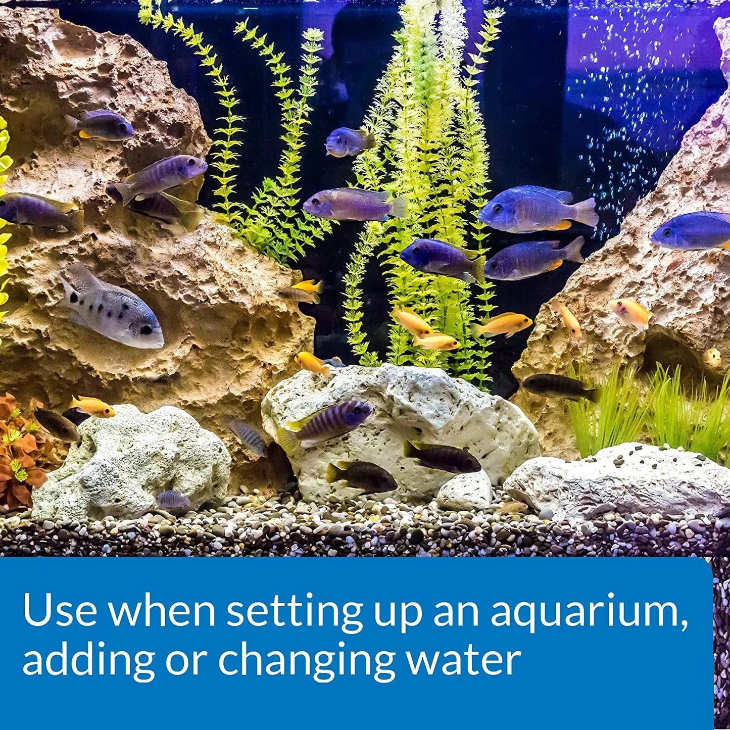 1 month and up API Tap Water Conditioner For Aquarium 16 Ounce Bottle Neutralizes Chlorine And Chloramines Safe For Fish - Uncategorized