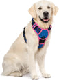 GLOBEGOU CO.,LTD Rabbitgoo Large Dog Harness No Pull Adjustable Soft Padded Vest Reflective Oxford Material Red Plaid Dual Leash Clips - Animals & Pet Supplies > Pet Supplies > Pet Collars & Harnesses Dog