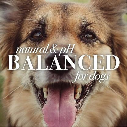 Excel Pets Buttermilk Tearless Puppy Shampoo For Delicate Skin And Coat Tear Free Fragrance Free PH Balanced - Animals & Pet Supplies > Pet Supplies > Pet Grooming Supplies > Pet Shampoo & Conditioner > Shampoos Dog