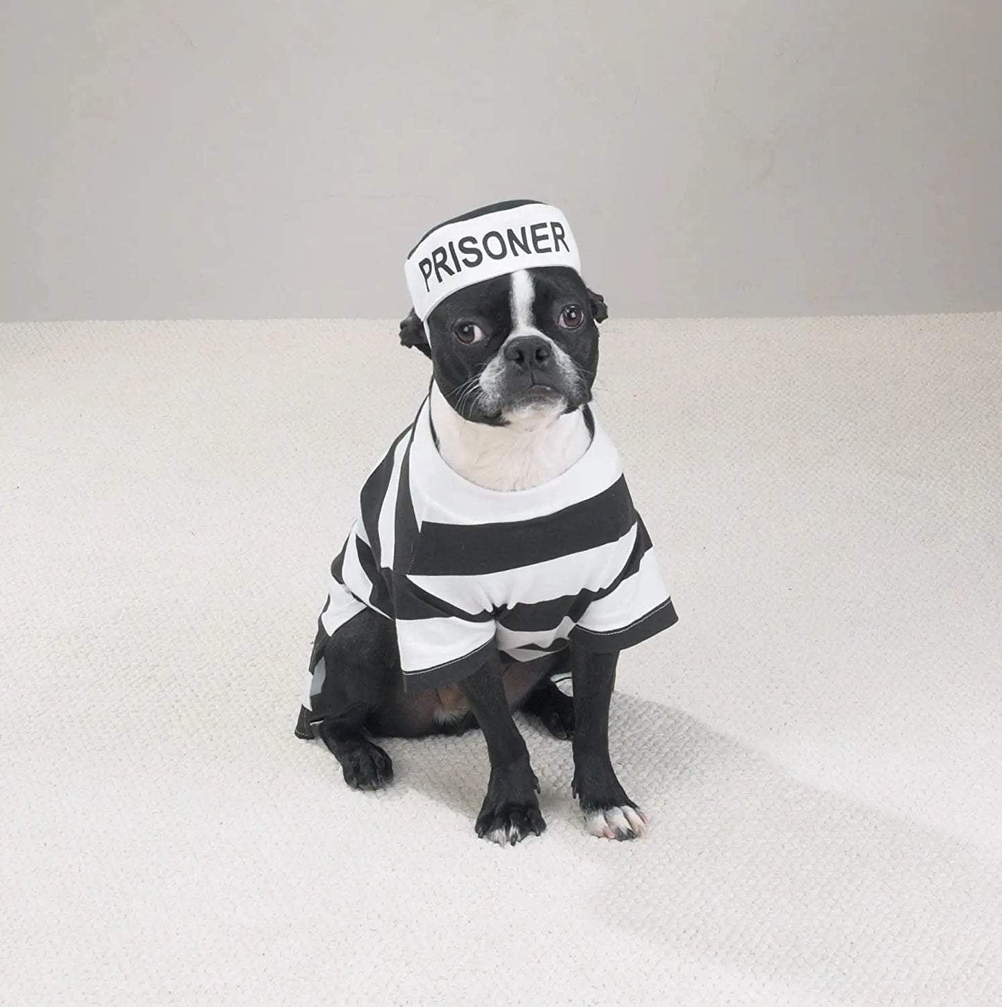Stylish Prison Pooch Costume for Medium Dogs - Black and White Halloween Apparel PetEdge Dealer Services*