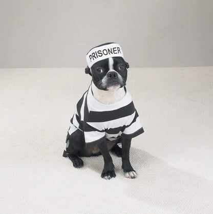 PetEdge Dealer Services* Stylish Prison Pooch Costume For Medium Dogs Black And White Halloween Outfit For Trick Or Treating - Animals & Pet Supplies > Pet Supplies > Pet Apparel > Pet Costumes Dog