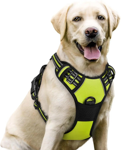 Rabbitgoo Dog Harness No Pull with 2 Leash Clips GLOBEGOU CO.,LTD