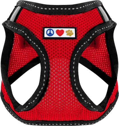 Pawtitas Dog Harness Made with Breathable Air Mesh | Pawtitas
