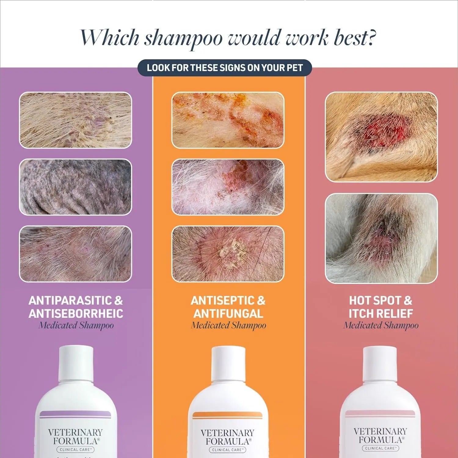 Clinical Care Antiseptic and Antifungal Medicated Shampoo for Dogs & Cats, 16 Fl Oz Excel Pets