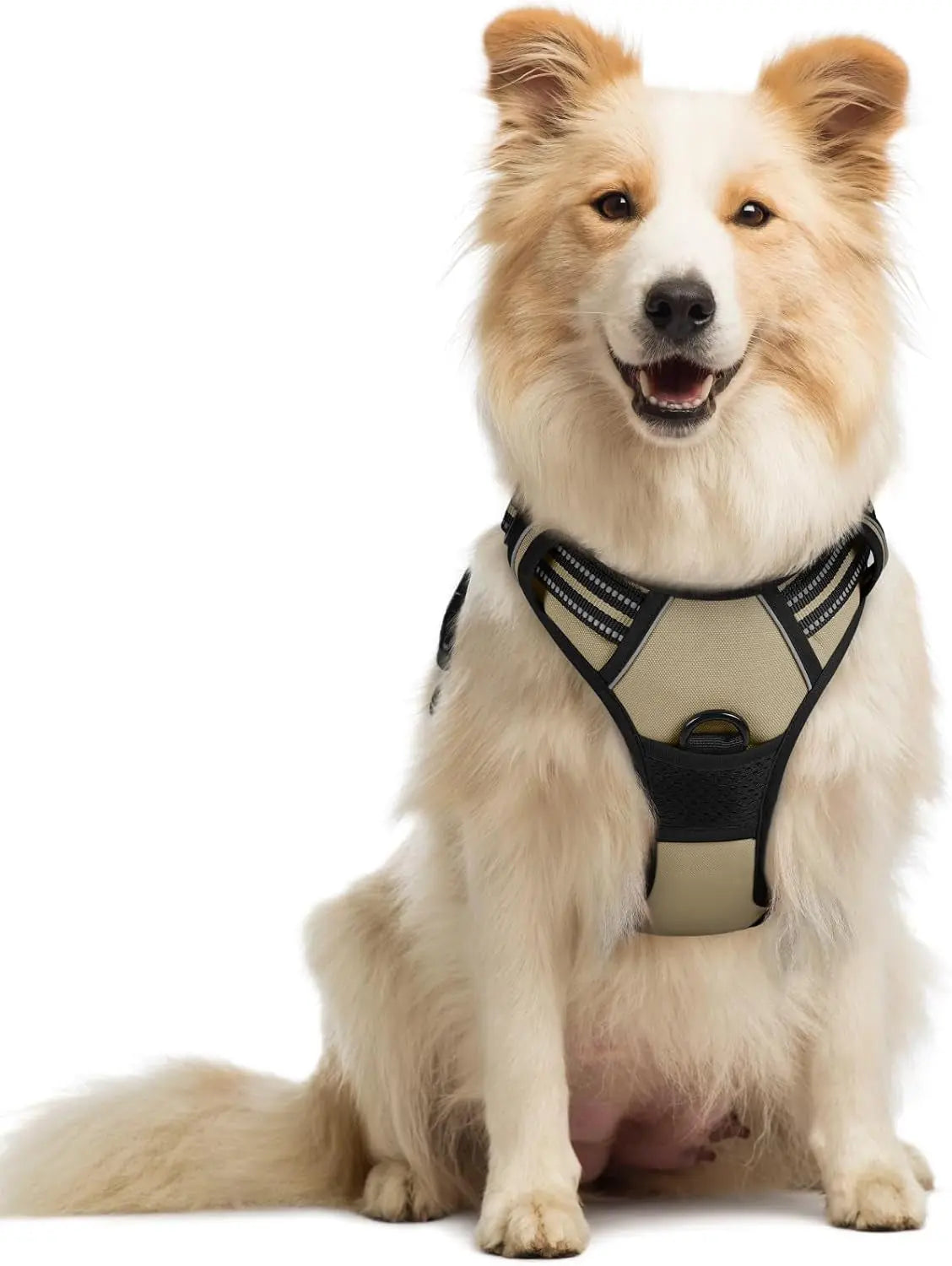 GLOBEGOU CO.,LTD Rabbitgoo Large Dog Harness No Pull Adjustable Soft Padded Vest Reflective Oxford Material Red Plaid Dual Leash Clips - Animals & Pet Supplies > Pet Supplies > Pet Collars & Harnesses Dog