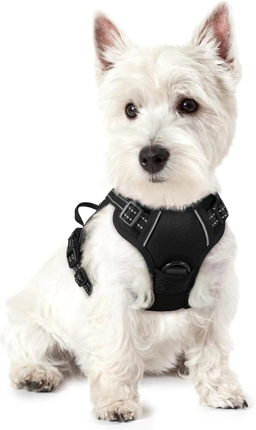 GLOBEGOU CO.,LTD Rabbitgoo Large Dog Harness No Pull Adjustable Soft Padded Vest Reflective Oxford Material Red Plaid Dual Leash Clips - Animals & Pet Supplies > Pet Supplies > Pet Collars & Harnesses Dog