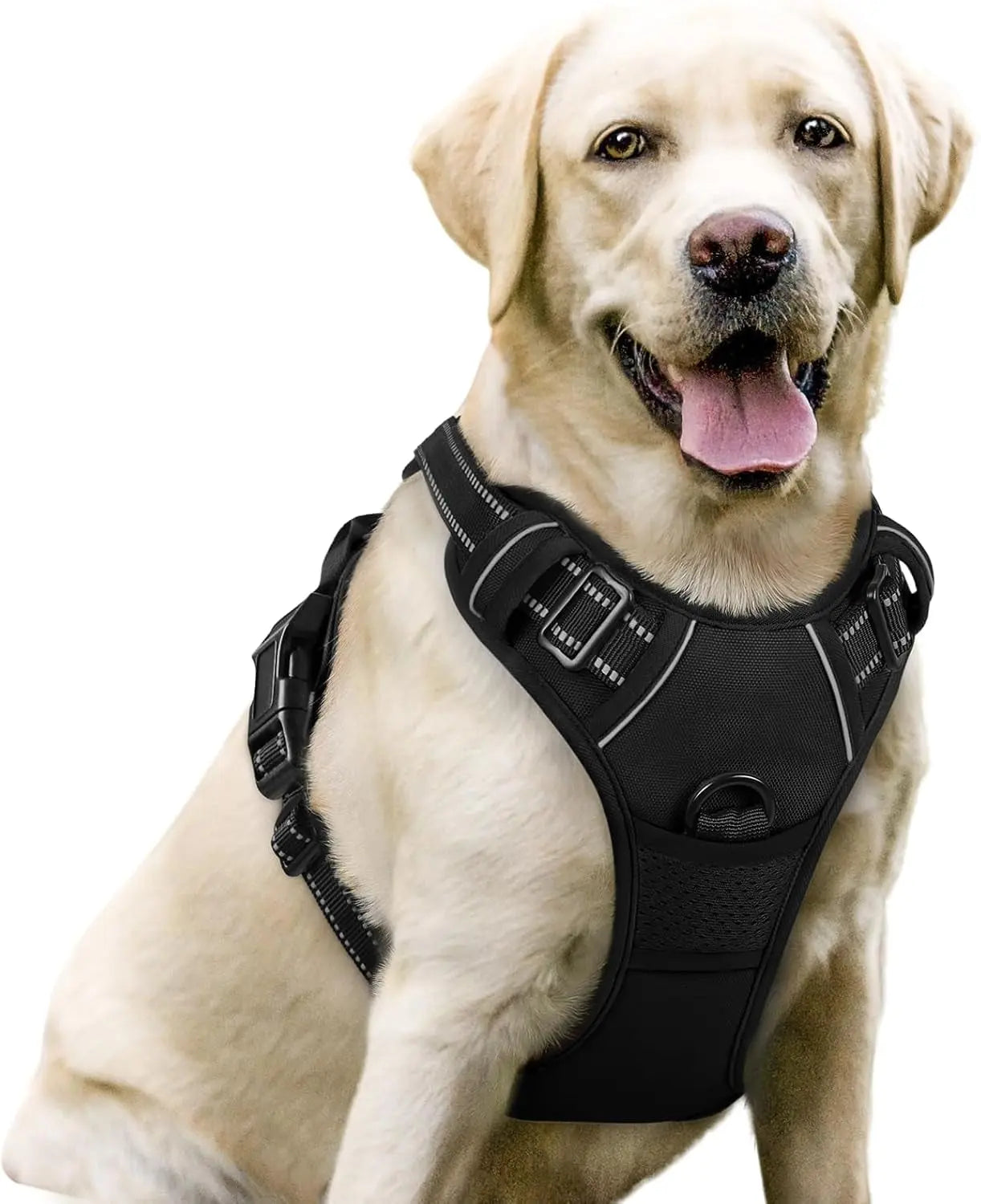 Rabbitgoo Dog Harness No Pull with 2 Leash Clips GLOBEGOU CO.,LTD
