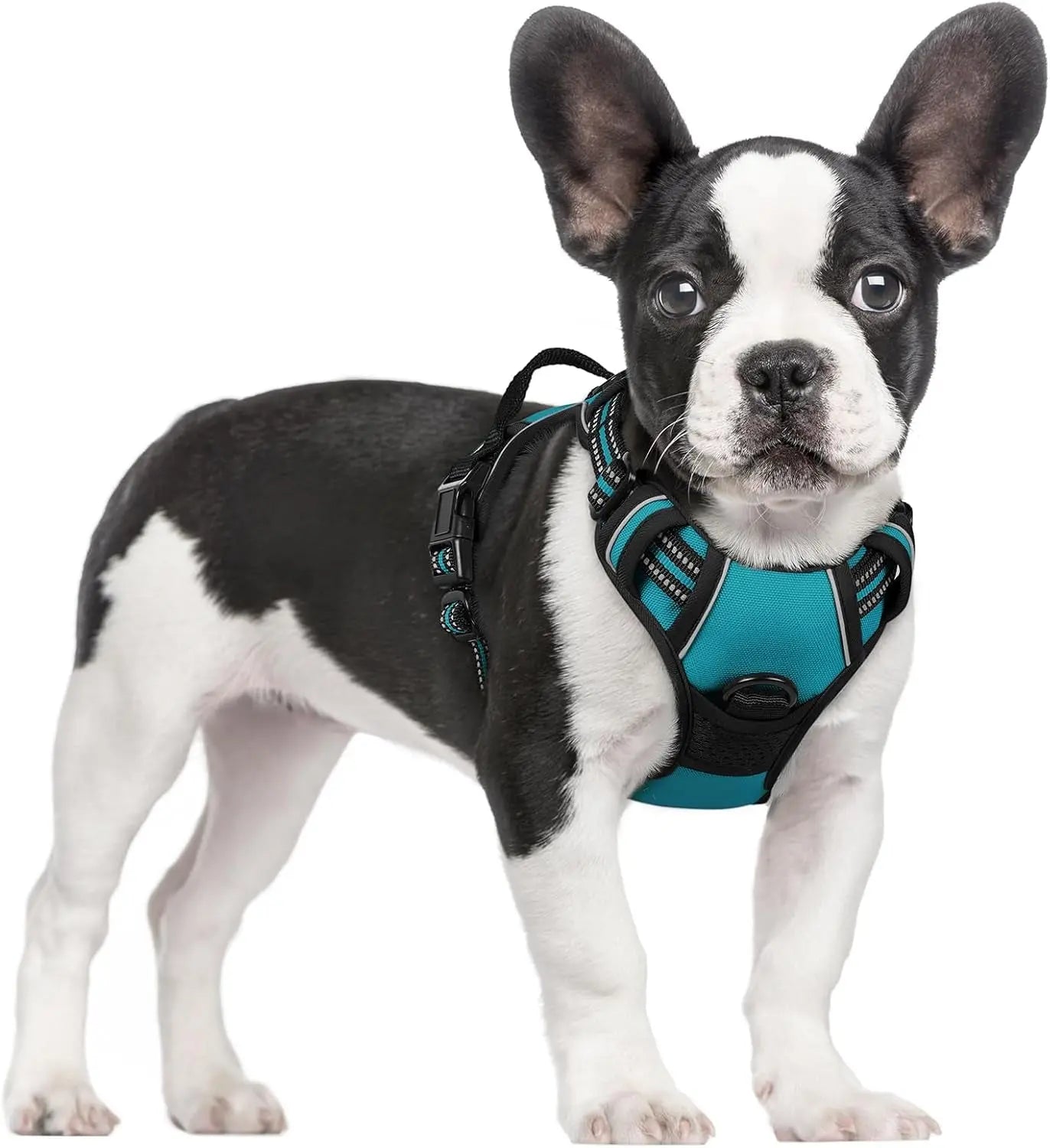 GLOBEGOU CO.,LTD Rabbitgoo Large Dog Harness No Pull Adjustable Soft Padded Vest Reflective Oxford Material Red Plaid Dual Leash Clips - Animals & Pet Supplies > Pet Supplies > Pet Collars & Harnesses Dog