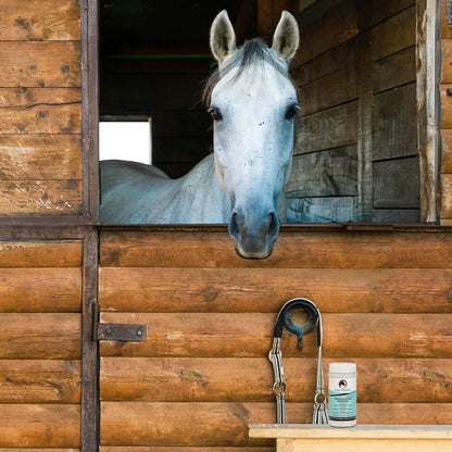 Horsepowder, Inc. Coat Defense Daily Powder For Horses Natural Waterless Grooming Powder To Clean Deodorize And Shine Coat Mane And Tail - Sporting Goods > Outdoor Recreation > Equestrian > Horse Care > Horse Grooming Equine