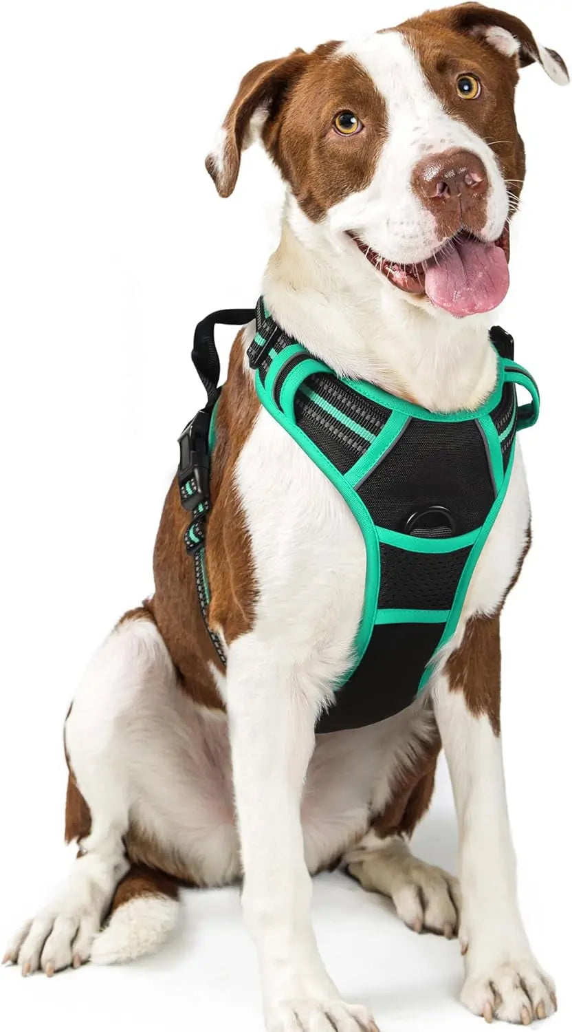 GLOBEGOU CO.,LTD Rabbitgoo Large Dog Harness No Pull Adjustable Soft Padded Vest Reflective Oxford Material Red Plaid Dual Leash Clips - Animals & Pet Supplies > Pet Supplies > Pet Collars & Harnesses Dog