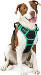 GLOBEGOU CO.,LTD Rabbitgoo Large Dog Harness No Pull Adjustable Soft Padded Vest Reflective Oxford Material Red Plaid Dual Leash Clips - Animals & Pet Supplies > Pet Supplies > Pet Collars & Harnesses Dog