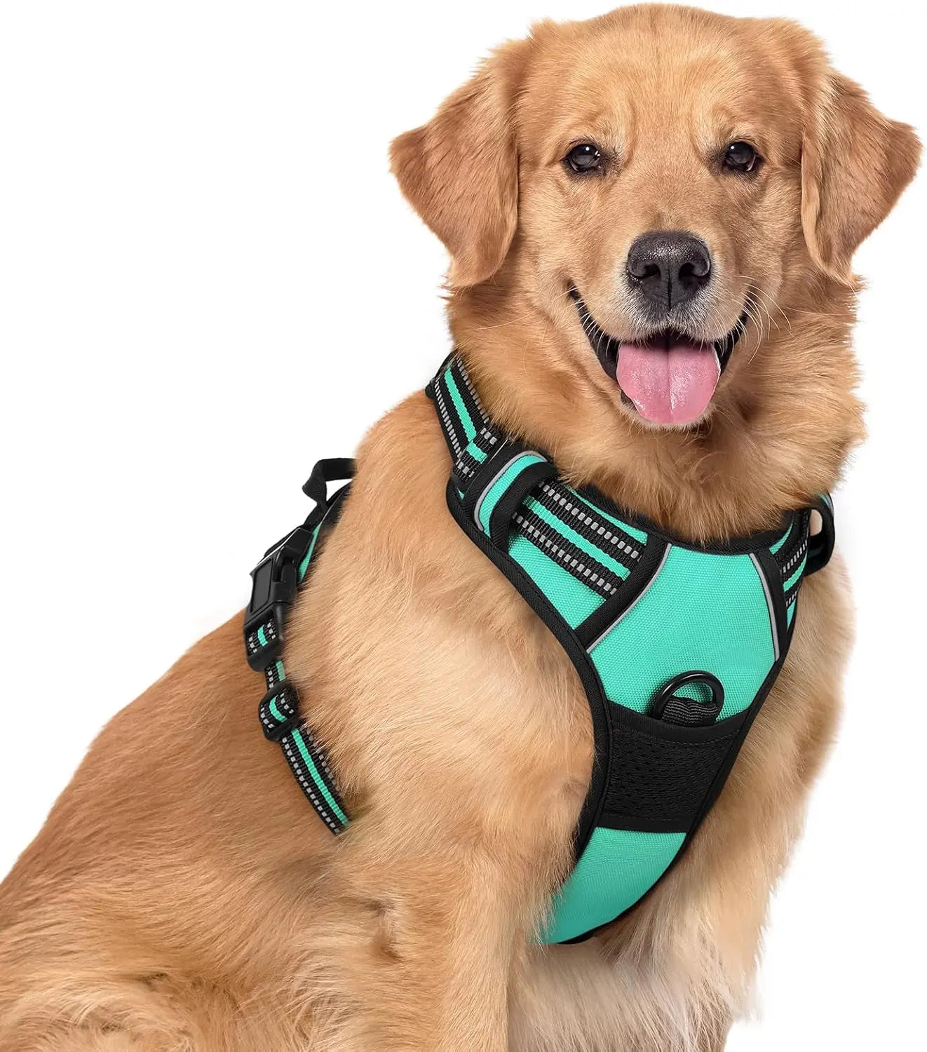 Rabbitgoo Dog Harness No Pull with 2 Leash Clips GLOBEGOU CO.,LTD