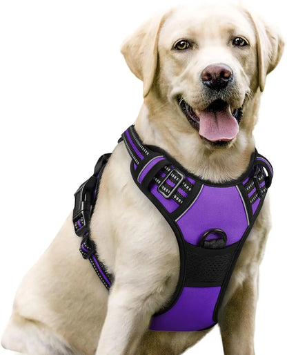 Rabbitgoo Dog Harness No Pull with 2 Leash Clips GLOBEGOU CO.,LTD