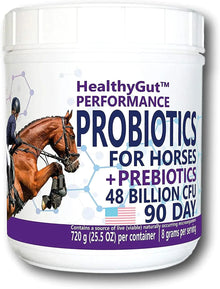 Equa Holistics LLC. Healthygut Probiotics For Horses Performance Formula Digestive Health Support 90 Day Supply - Sporting Goods > Outdoor Recreation > Equestrian > Horse Care > Horse Vitamins & Supplements Equine