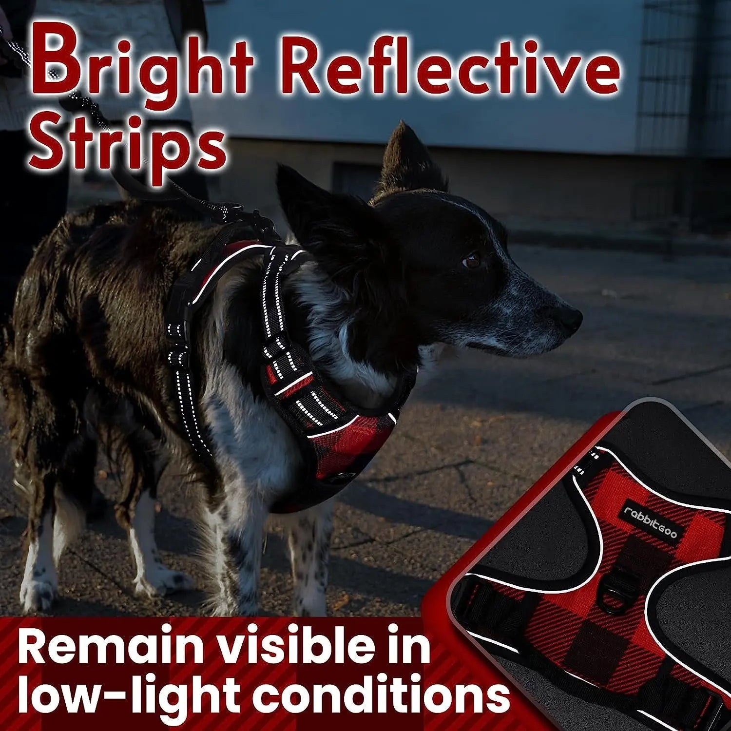 Rabbitgoo Dog Harness No Pull with 2 Leash Clips GLOBEGOU CO.,LTD