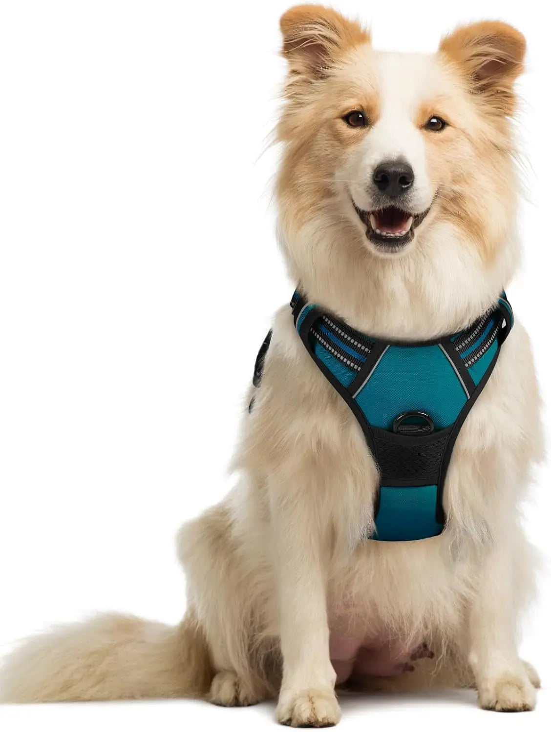 Rabbitgoo Dog Harness No Pull with 2 Leash Clips GLOBEGOU CO.,LTD