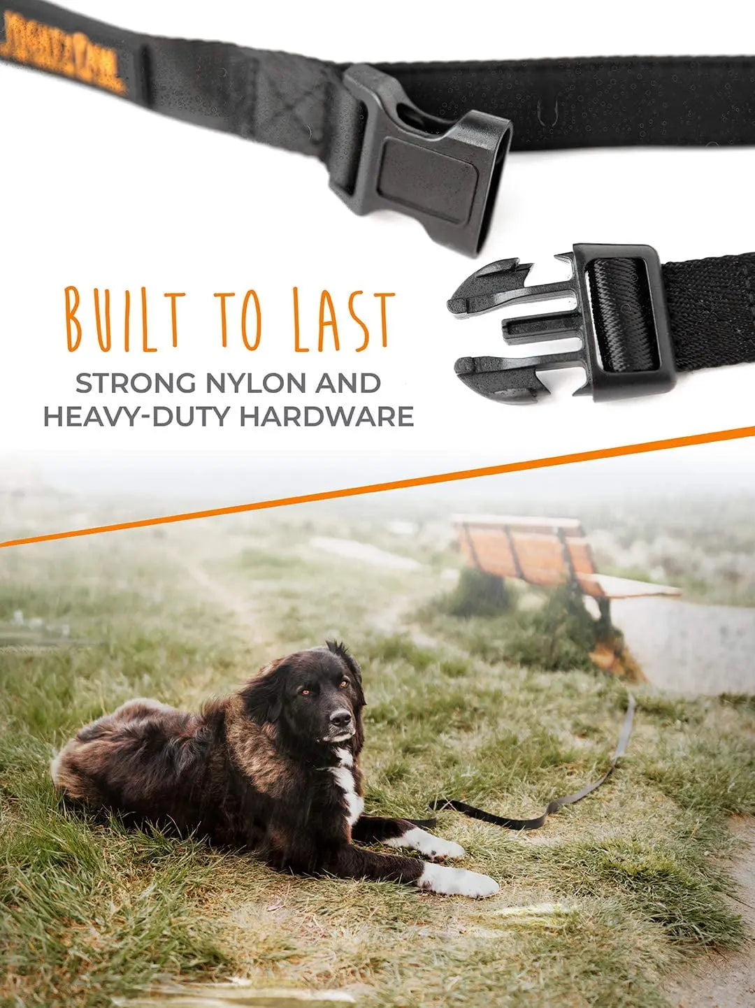 Mighty Paw 15Ft Long Dog Leash - Ultimate Training Tool for Dogs with Padded Handle and Waterproof Durability Mighty Paw