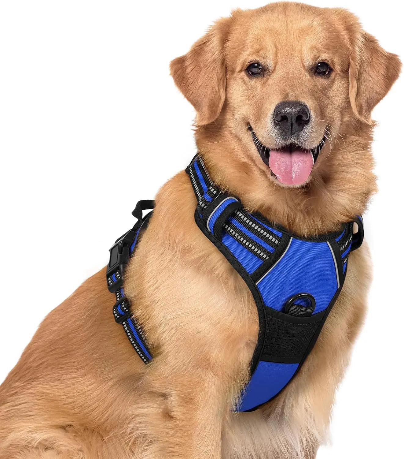 Rabbitgoo Dog Harness No Pull with 2 Leash Clips GLOBEGOU CO.,LTD