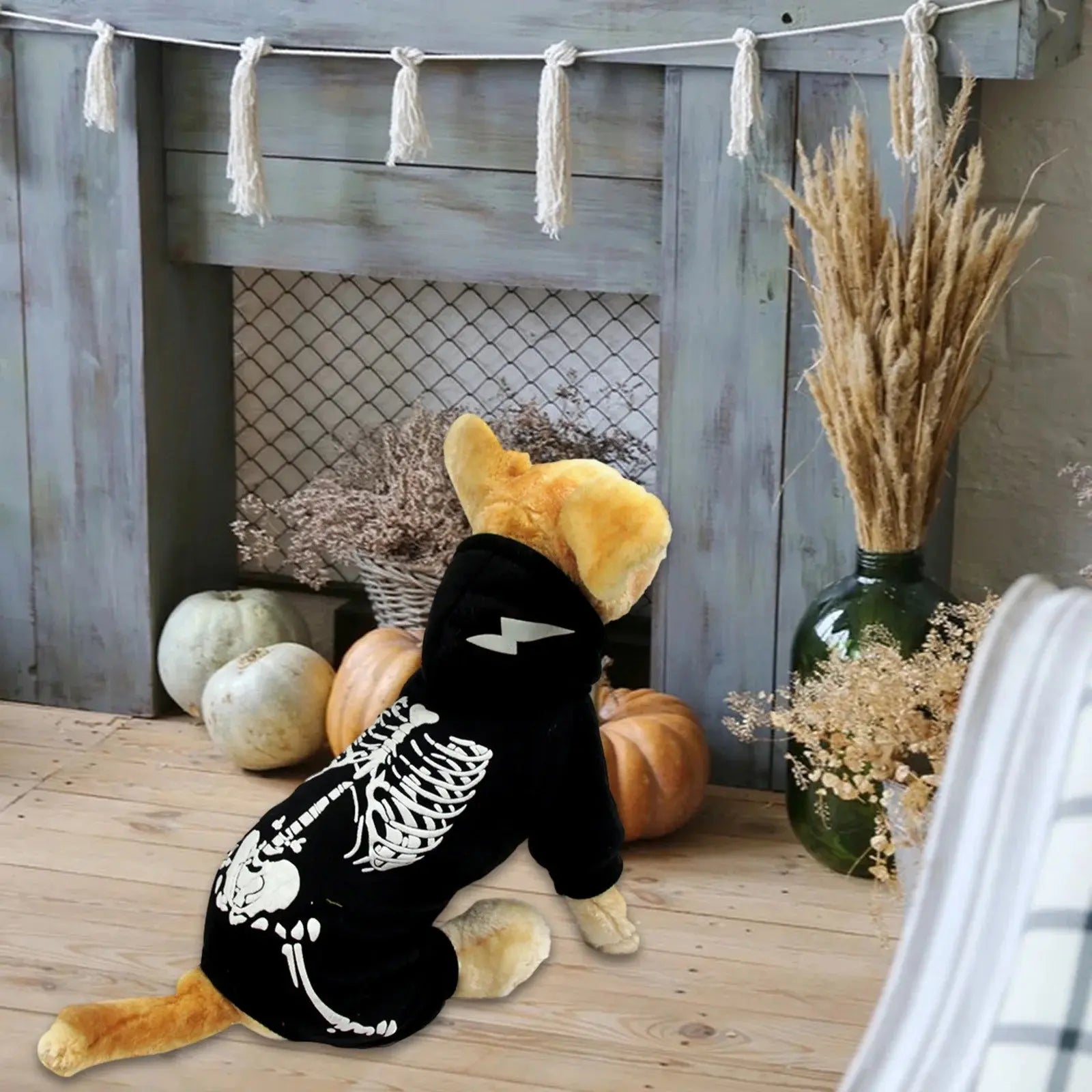 Halloween Gifts PRETXORVE Black Dog Costume For Halloween Cosplay Adorable Pet Outfit For Small Medium And Large Dogs - Animals & Pet Supplies > Pet Supplies > Pet Apparel > Pet Costumes Dog