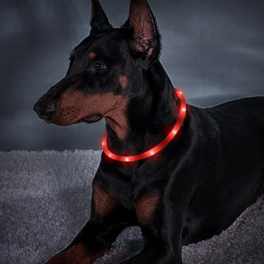 Led Dog Collar, USB Rechargeable LED Dog Necklace Light, Silicone Light up Dog Collars Glow in the Dark (Red-Silicone) Excel Pets