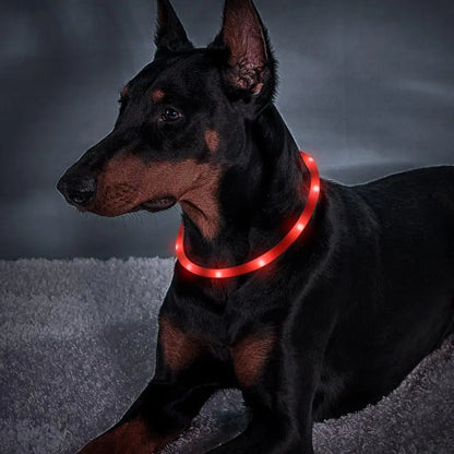 Excel Pets USB Rechargeable LED Dog Collar With Super Bright Night Visibility Up To 500 Meters And Adjustable 11 To 27 Inches - Animals & Pet Supplies > Pet Supplies > Pet Collars & Harnesses > LED Collars Dog
