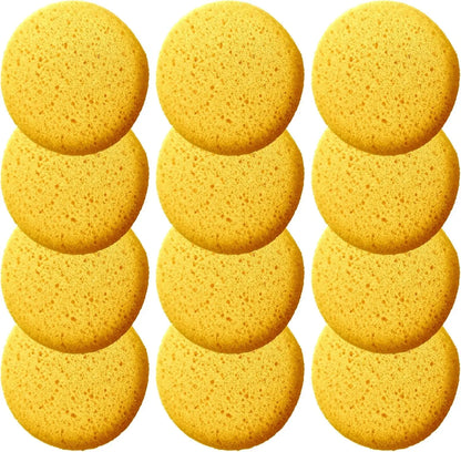 HUABIAO Box Of 12 Coarse Hole Tack Sponges For Heavy Duty Cleaning And Durable Polyurethane Construction - Sporting Goods > Outdoor Recreation > Equestrian > Horse Care Equine