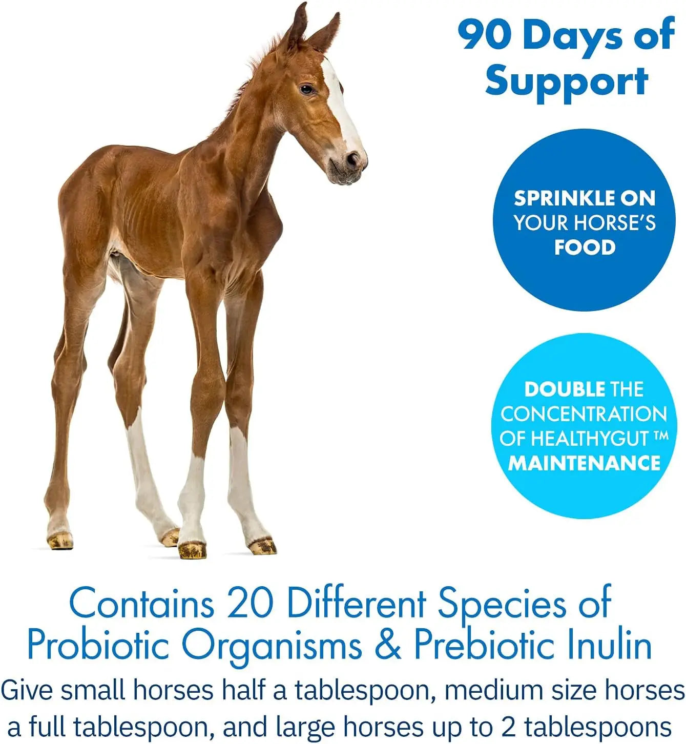 Healthygut™ Probiotics for Horses - All-Natural Dietary Supplement for Enhanced Digestive Performance (90-Day Supply) Equa Holistics LLC.