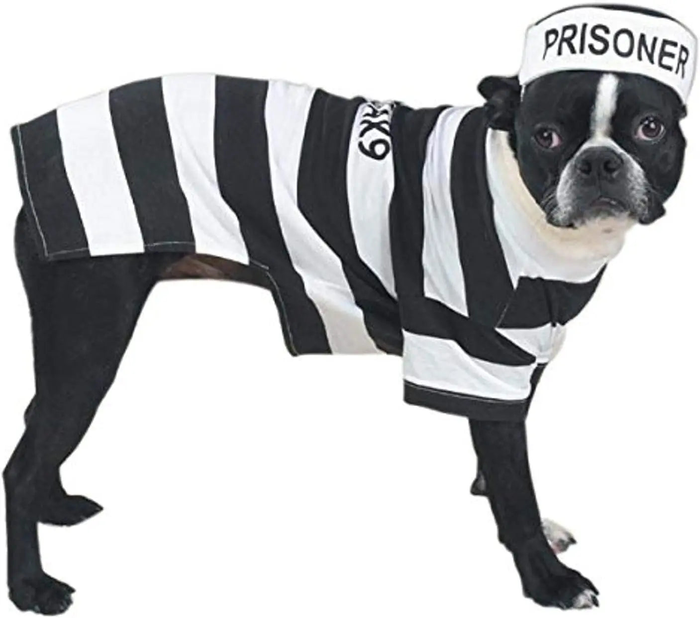 Stylish Prison Pooch Costume for Medium Dogs - Black and White Halloween Apparel PetEdge Dealer Services*
