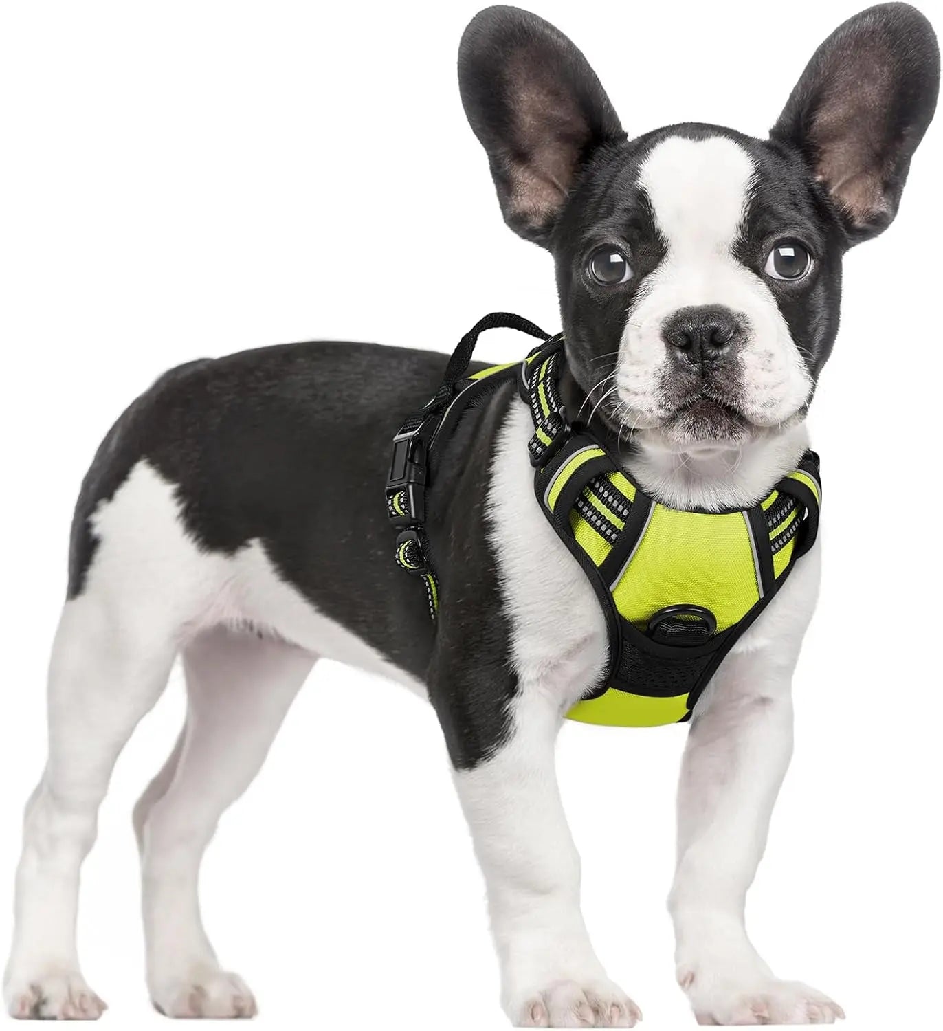 GLOBEGOU CO.,LTD Rabbitgoo Large Dog Harness No Pull Adjustable Soft Padded Vest Reflective Oxford Material Red Plaid Dual Leash Clips - Animals & Pet Supplies > Pet Supplies > Pet Collars & Harnesses Dog