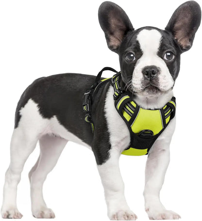 Rabbitgoo Dog Harness No Pull with 2 Leash Clips GLOBEGOU CO.,LTD