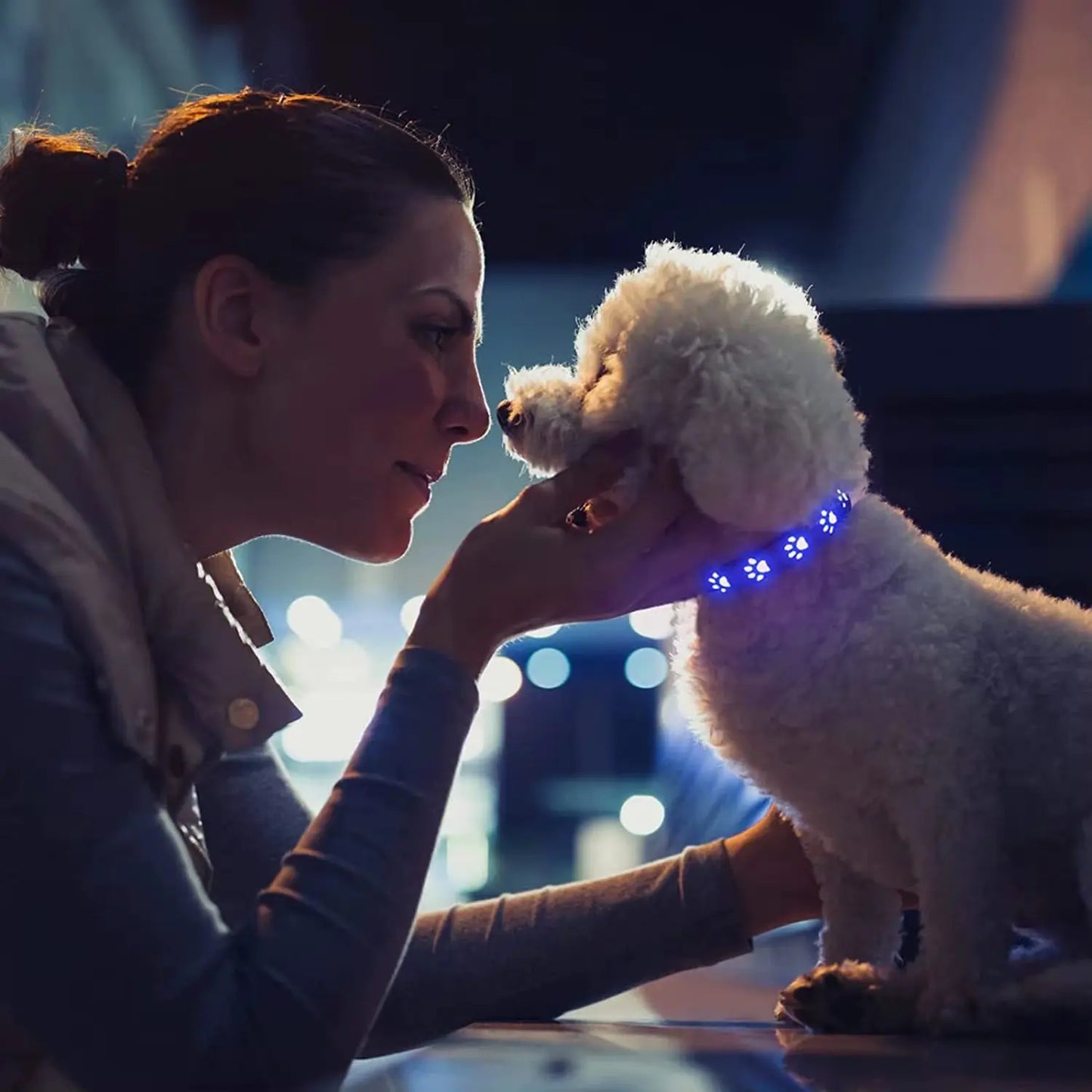 Rechargeable LED Dog Collar - Rainproof Nylon with USB-C Charging, Luminous Design in 3 Colors and 6 Modes for Enhanced Pet Safety Does not apply
